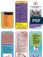Leaflet Mu PDF