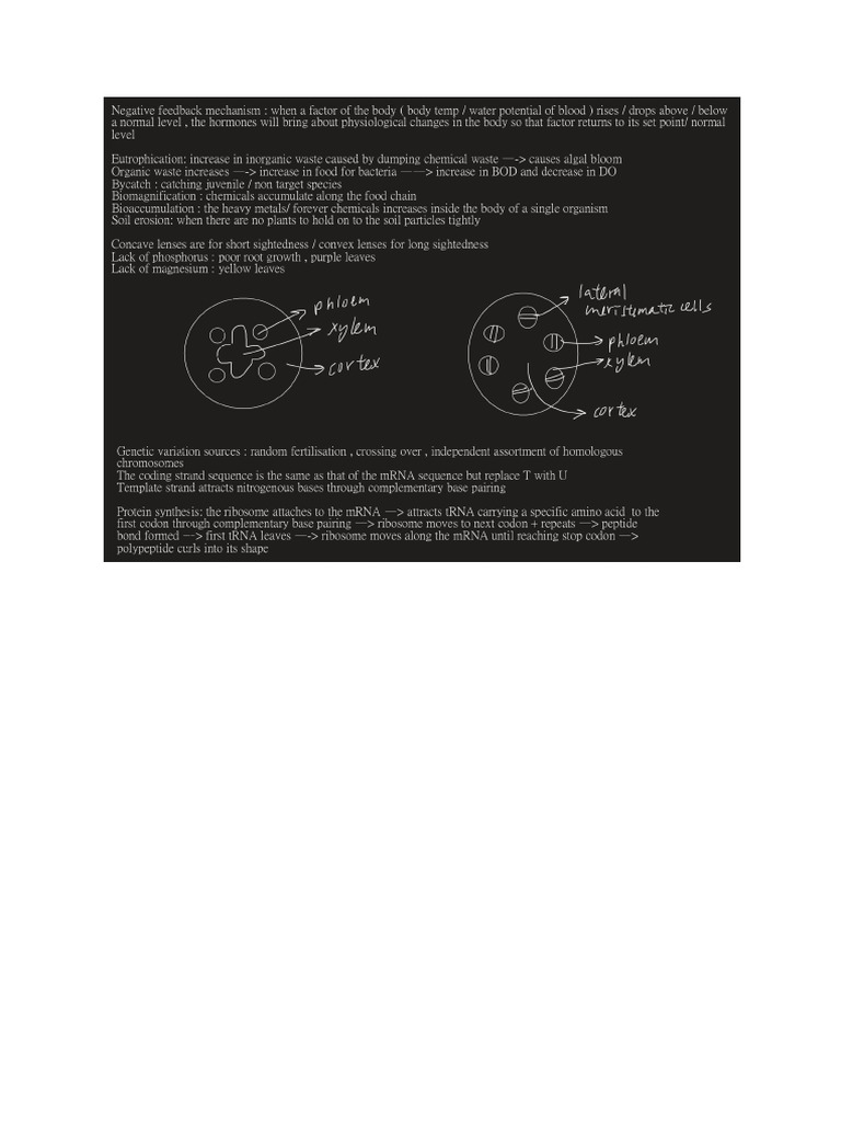 Untitled Document 2 | PDF