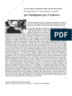 A história incrível do cão inteligente Sarampo