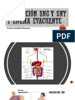 Clase de Colocación SNG Y SNY