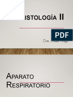 Sistema Respiratorio PDF