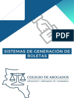 Instructivo Sistema de Boleta Digital PDF