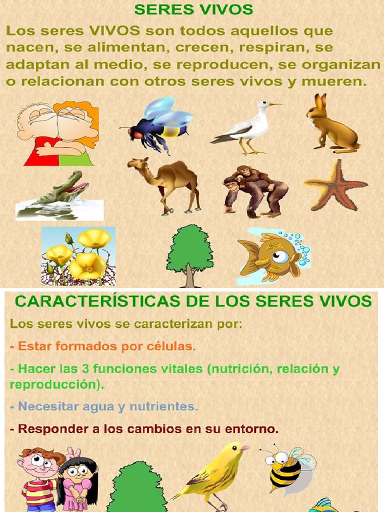 l-mina-los-seres-vivos-pdf