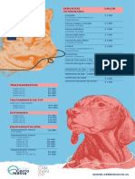 Listado Precios Veterinaria PDF