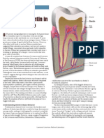 The Role of Dentin in Tooth Fracture: Research Highlights