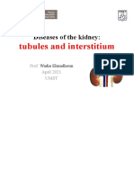 Tubules and Interstitium: Diseases of The Kidney