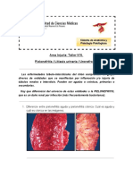 Taller Nº6