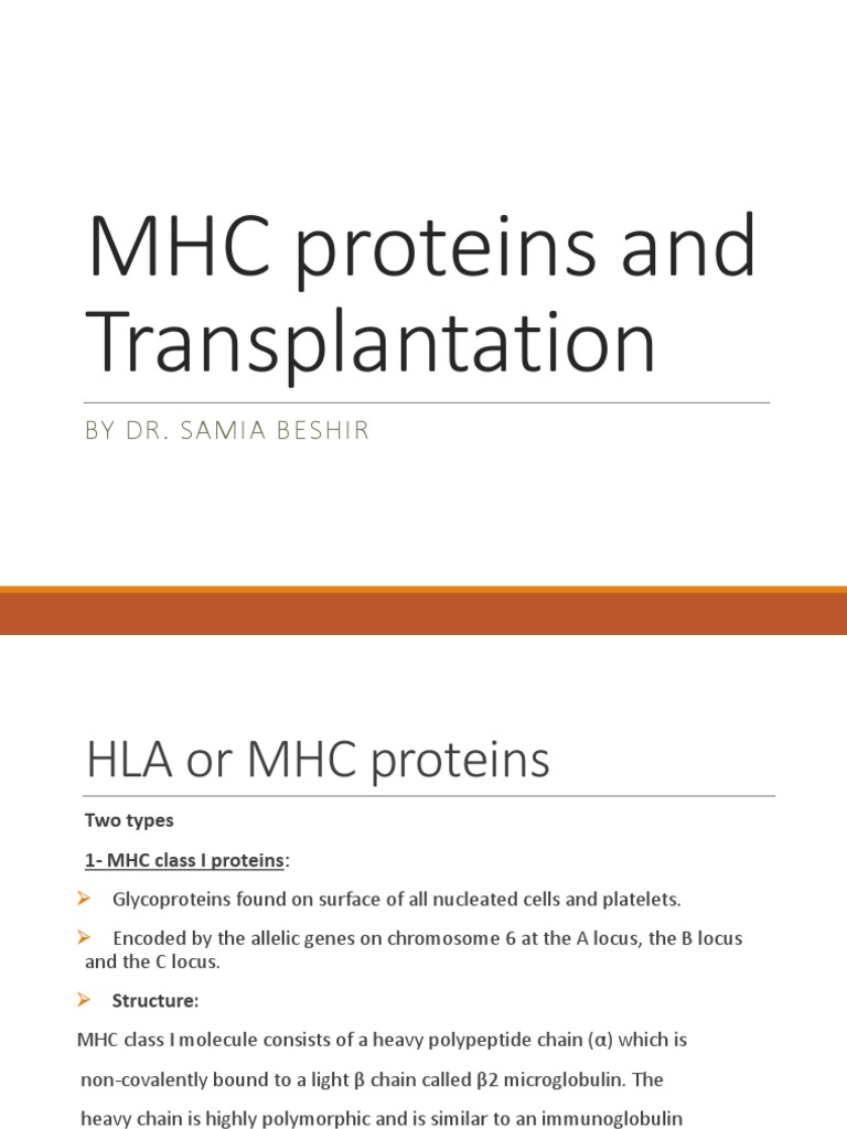 7.MHC and Transplantation PDF Major Complex