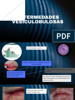 Enfermedades Vesicolobulosas