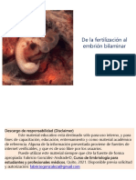 Embrio 3 - de La Fertilización Al Embrión Bilaminar 2022