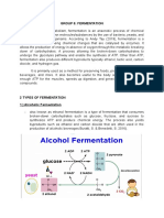 Advantages and Disadvantages of Fermentation and Aerobic Respiration