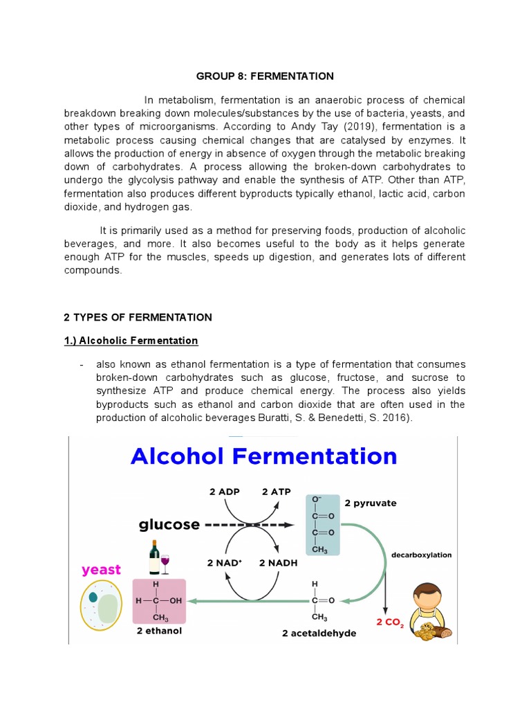 Advantages and Disadvantages of Fermentation and Aerobic Respiration