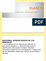 Clase 3 Relajante - Músculos PDF