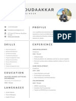 CV PDF