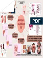 MAPA-MENTAL-infección-DE-VIAS-URINARIAS-ivu