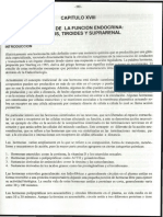 Expo Tera-Fusionado 2 PDF