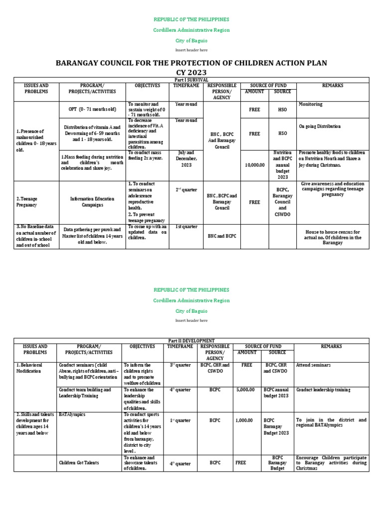 BCPC Action Plan 2023: Child Welfare | PDF