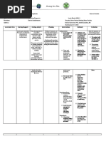 Nursing Care Plan DUTY