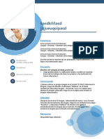 Curriculum Vitae profesional optimizado