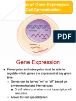 Gene Expression AP Notes