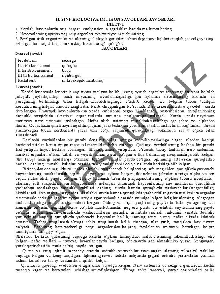 Pochta orqali CD/DVD porno disklari