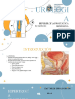 Urologi A: Hipertrofia Prostática Beningna