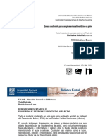 A1 PDF