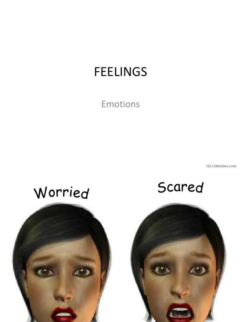 Feelings Picture Dictionary PDF