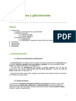 Peroxisomas y Glioxisomas
