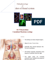 Pathophysiology of Renal Disorders