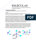 Tema 2 - Biomoleculas