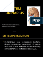 Anfis Sistem Urinary PDF