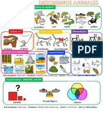 Descripcion Animales PDF