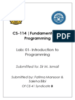 CS-114 Report - 1