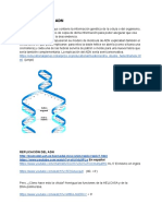 Replicación del ADN: Cómo se copia la información genética