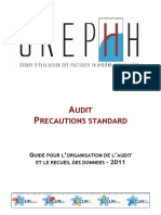 Audit Precautions Standard - Guide PDF