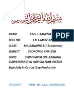 Term Paper Economics