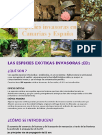 Especies Invasoras en Canarias y España