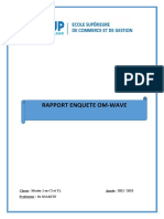 RAPPORT ENQUETE OM-WAVE Prof PDF