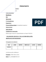 Modelo Presupuesto PDF