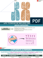 BMCG UF5 Técnicas de Análisis Cromosómico