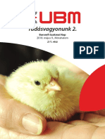 UBM Tudasvagyon 02-Szam Part1 Crop Optimized PDF