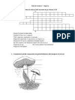 Fisa de Evaluare Ciuperci