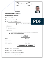 CV Youcef PDF