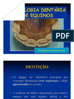 Cronologia Dentária em Equinos