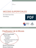 Teoria Micosis Superficiales