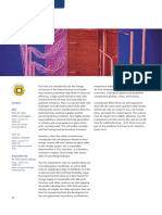 Fuel Cell PDF