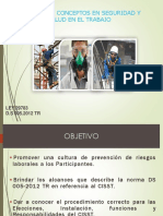 Principios y Conceptos SST PDF