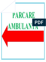 PARCARE AMBULANTA.docx