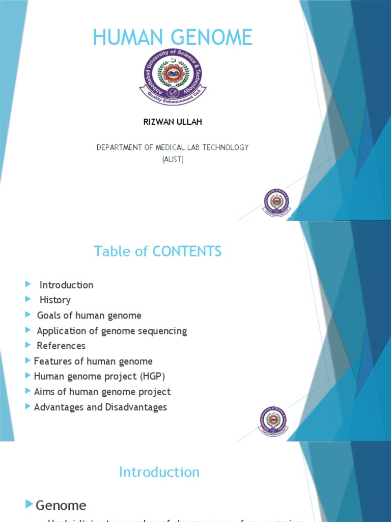 Human Genome Pdf Genome Gene